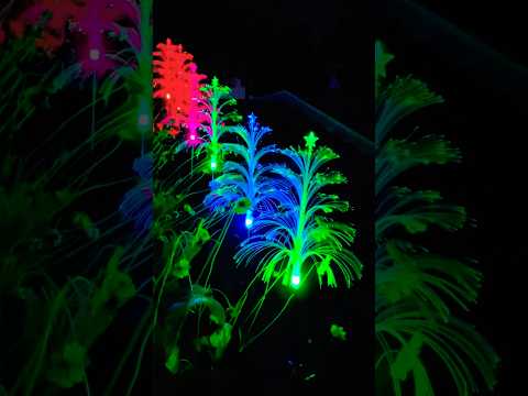 #Solar Garden Light #Solar Jellyfish Light