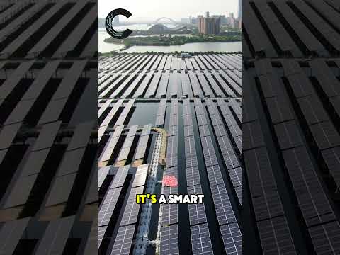 They Generate Electricity With Floating Solar Panels☀️ #shorts