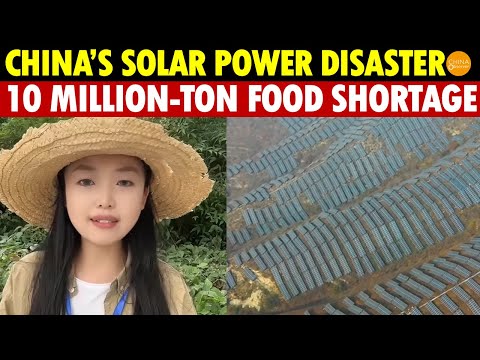 China’s Government Gone Crazy, Solar Panels Blanket Farmland, Causing A 10 Million-Ton Food Loss