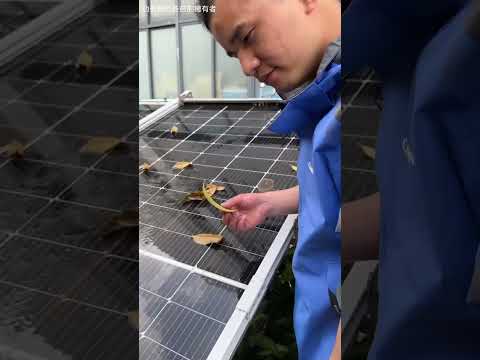 Wiper For Solar Panel