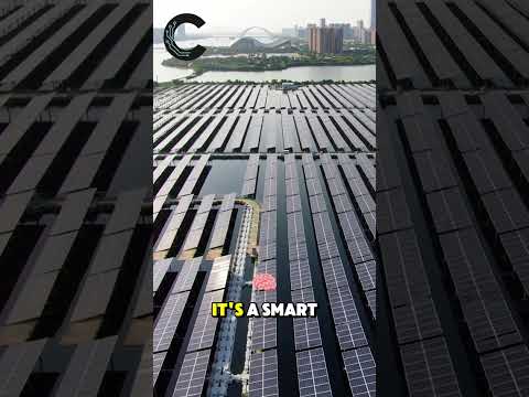 They Generate Electricity With Floating Solar Panels #solar