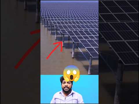 world biggest solar panels /#viral #shorts #videos #trending #reels