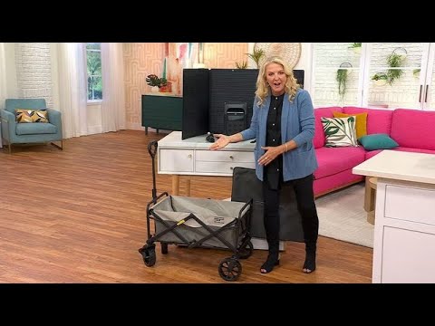 EcoFlow Delta 3 Power Station with Solar Panel & Folding Wagon Option