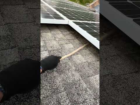 How to clean under solar panels