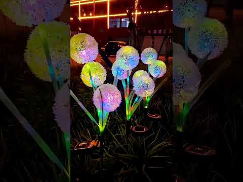 Solar Light Offer You Cant Miss WorkPromotion