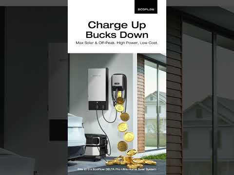 Even big appliances can save big 😎 #EcoFlowDELTAProUltra #HomeSolarSystem lower your energy bills.