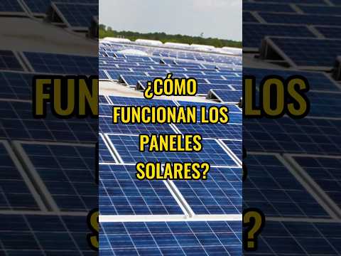 ¿Sabes cómo funcionan los paneles solares?