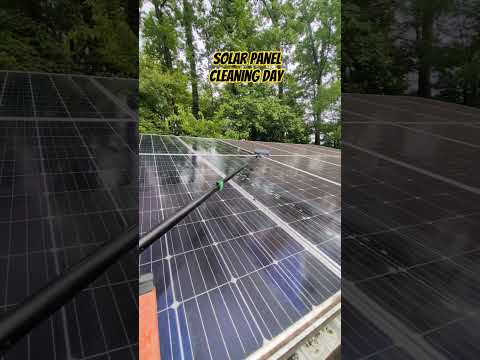 Nothing Like Cleaning Solar Panels – BIG DIFFERENCE! #solar #power #cleaning #mold  #energy #shorts