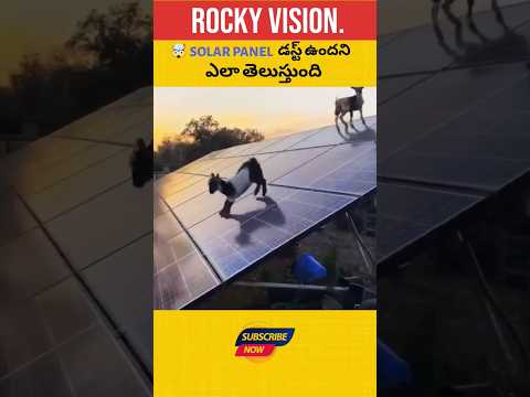 ⚡⚡How to clean a solar panels 🤯 | Facts in Telugu | #rockyvision #facts
