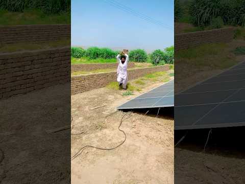 Solar panels Se bijli Chori karne ka anjam😳#viralvideo #funny #yt  #shortsfeed #comedy #shorts