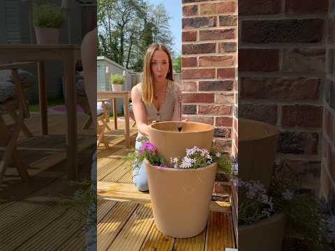 using the solar water fountain I saw everyone using last year #gardenproject #gardendiy #diyproject