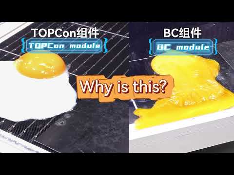 Can Solar Panels Fry Eggs? The Answer Will Shock You!