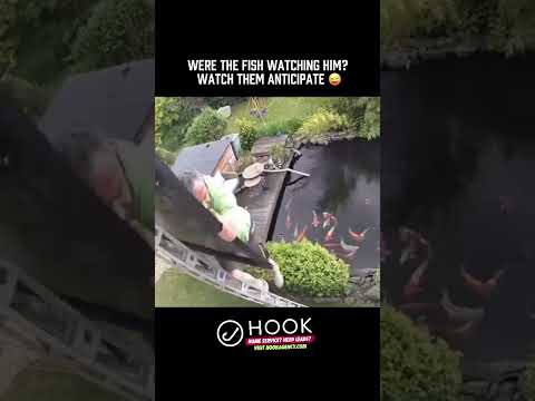 How to carry a solar panel up a ladder: Don’t