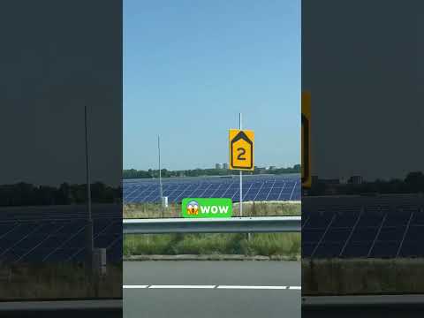 A field filled with solar panel #shortvideo #travel