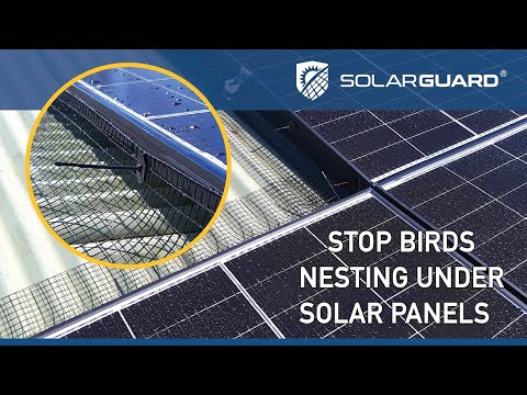 Solargaurd Solar Panel Protection – simple guide to deter birds and rodents away from solar panels