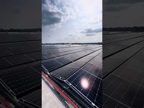 Why Solar Energy Still Isn’t Common 🤔 ! #shorts #facts #viral