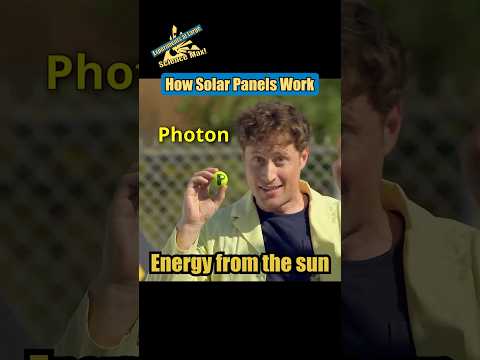 How Do Solar Panels Work? | Science Max #shorts