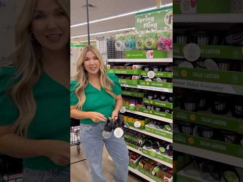 NEW Solar Lights OUT at Dollar Tree! #dollartreefinds