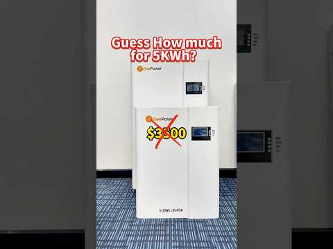 GeePower ESS home solar energy storage system, 5KWh LiFePO4 lithium battery with smart BMS #battery