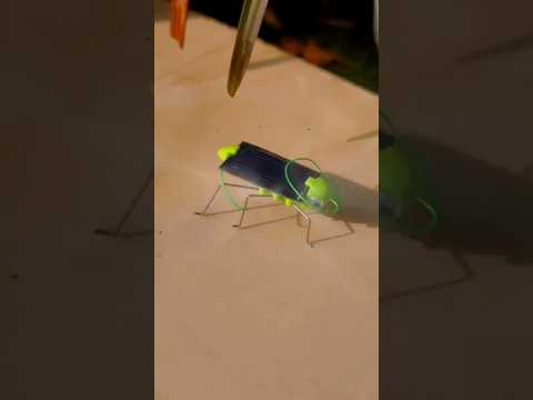 “Weird Solar Gadgets” #shorts #shortvideo
