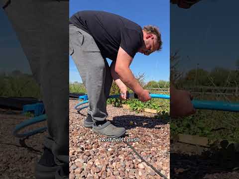 Filling water storage from the river with solar pump #offgridliving #water #solar #homestead #farm