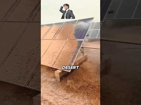 The Smart Robots Powering The Desert’s Solar Panels