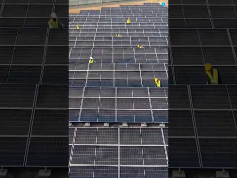 Solar Robots Cleaning China’s Desert Panels—No Humans Needed! 🤖☀️ #facts #ytshorts #trending