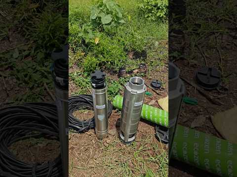 5 HP solar motor pump ⚡ 30 meter head pump ⚡ still body material ⚡ #shorts #shortvideo #viralshorts