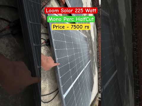 Loom Solar : 225 Watt Mono Perc Half cut Solar Panel Price #shorts #solarpanel #loomsolar