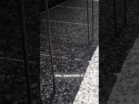 What Can You Power with 400W of Solar? Real-Life Camping Test | Renogy Solar Panel