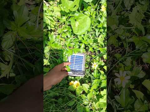 I found a solar panel in my nearest forest