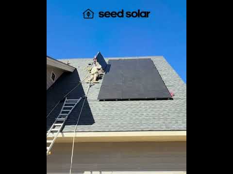 Seed Solar Panels