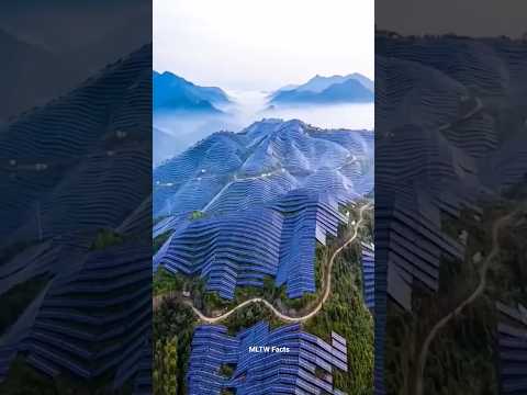 China is the world’s largest solar panel investor 😲!!