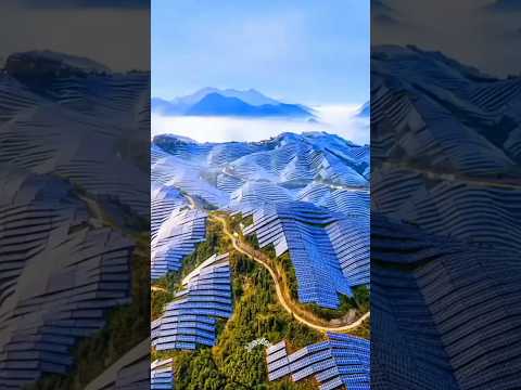 Solar panel: Why is the whole world installing solar panels #solar #solarenergy #shorts