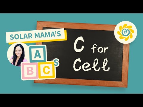 ABCs of Solar Energy: C is for Cell (Turning Sunlight into Power)