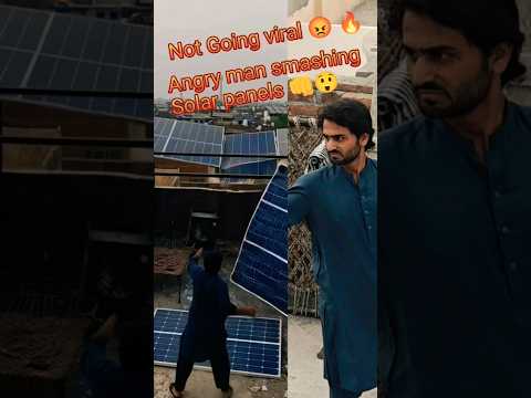 This Man Broke Solar Panels in Anger – Still Not Viral! #viral