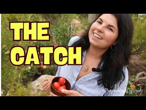 Solar companies won’t tell you this [watch BEFORE buying solar panels]