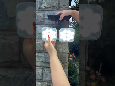 Best Solar Lights for Streets Gardens and Outdoor Areas