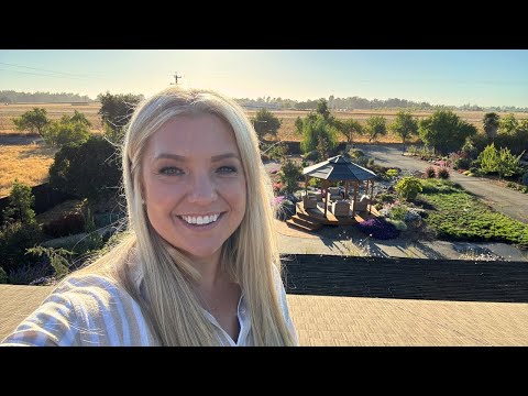 A LONG Overdue Chore! Moving the Starlink, Cleaning Solar Panels & Admiring the View!