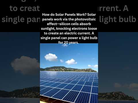 How do Solar Panels Work? #facts #coolfacts #funfacts #funfact