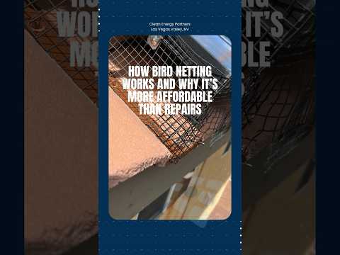 How Bird Netting Protects Your Solar Panels (And Saves Las Vegas Homeowners Money)