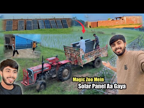 Finally Solar Magic Zoo Mein Aa Gaya 😍 Solar Panel | Zohaib Pendu | Zohaib Sabir