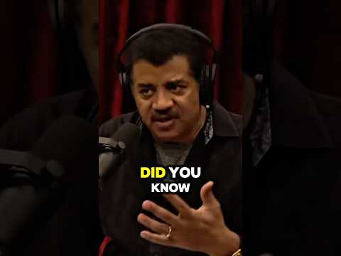 What if We Put Solar Panels in Space? #space #solar #universe #neildegrassetyson