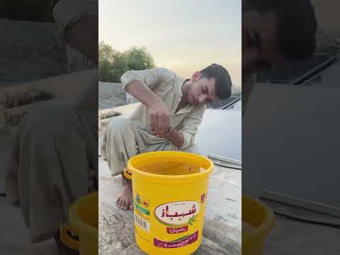 Solar panels ki halat check kro #minivlog #vlog #viralvlog