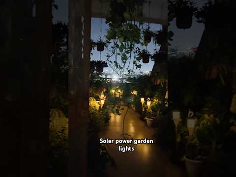 SOLAR POWER GARDEN LIGHTS