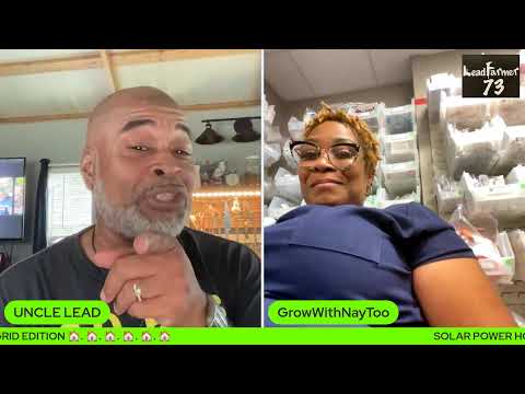 Solar power Hour off grid edition Wants vs Needs