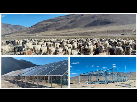 Visited Skyangchu-Thang: Pilot project of raised Solar Panels, PGCIL Infrastructure Works
