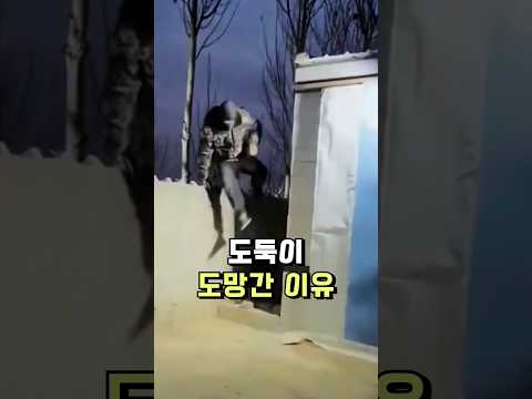 태양광 집게 센서등 #센서등 #보안등 #꿀템