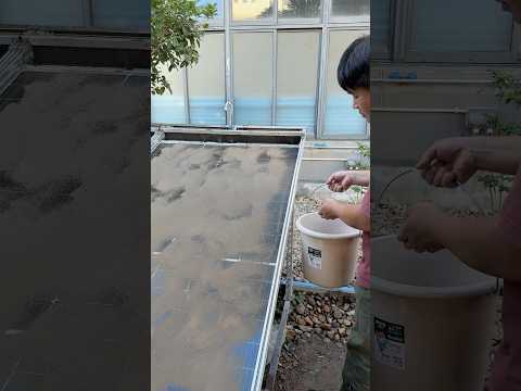 One-Two-Three…Hands-Free! Rail-Cleaning Robot Protects Your Solar Panels 24/7! #solarenergy