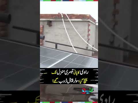 Solar Panels Drown in Ravi River Water | #solarpanels  #raviriver  #shorts